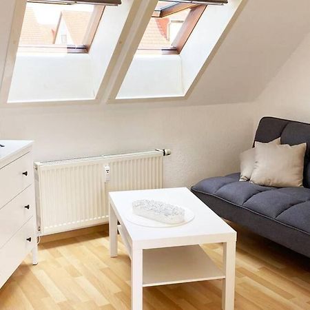 Apartment Mit Dachterrasse Nahe Zwickau غلاوخاو المظهر الخارجي الصورة